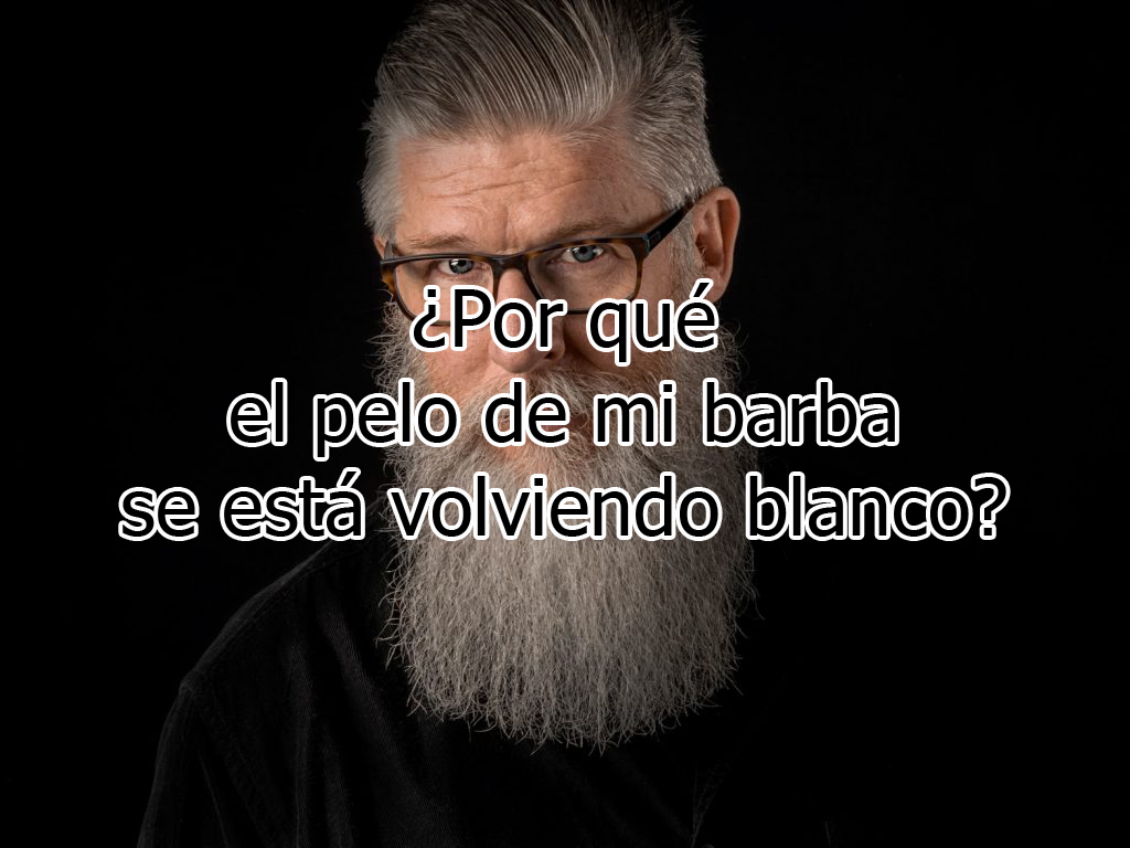 BarberiusShop's tweet photo. Seguramente te estás preguntando porqué te han salido canas solo en los pelos de la barba.....
LEE EL ARTÍCULO COMPLETO EN: https://t.co/U17GTC8Mru
 Entra en Nuestro MAGAZINE desde Bio: https://t.co/X7jZouPzJn
o https://t.co/FwwIi15ZI8 https://t.co/R7RSuFSCRs