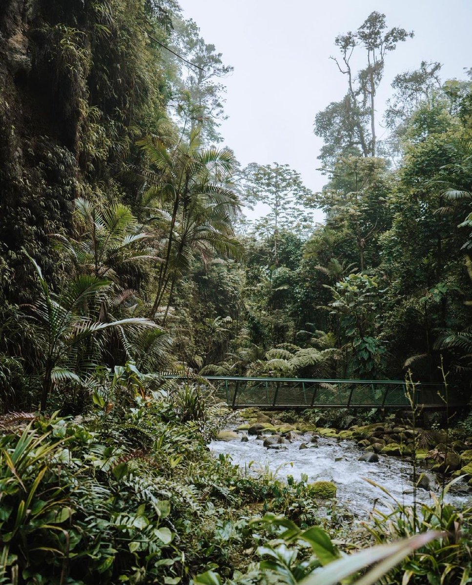 Catarata Río Agrio, Costa Rica 🇨🇷