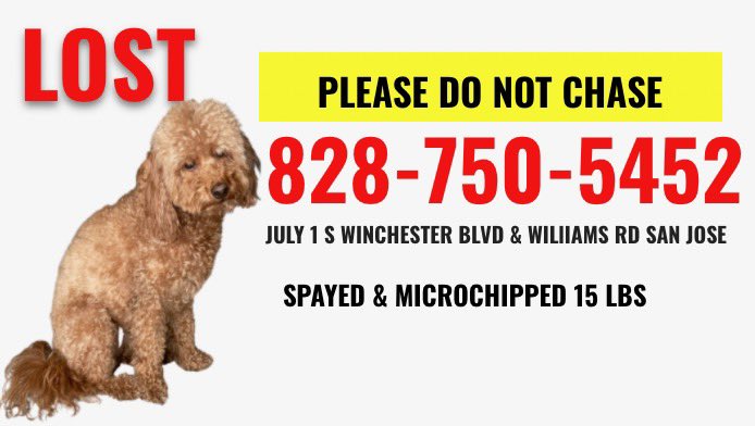 KristieNHoward's tweet photo. #FindPennyLou #LostDog #LostPet #sanjoseca #SanJose #lynhaven https://t.co/xnRB2alW88