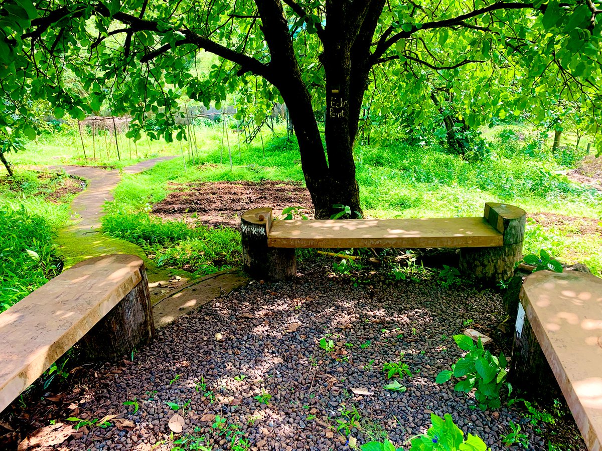 Day 3 

This is such an amazing to shoot a video, you don’t need those fancy studio, when you can have this. Weather is amazing today, you can feel the wind, breathe in fresh oxygen and don’t even need to wear Masks! 

You feel FREE here, next week I’m getting my camera!