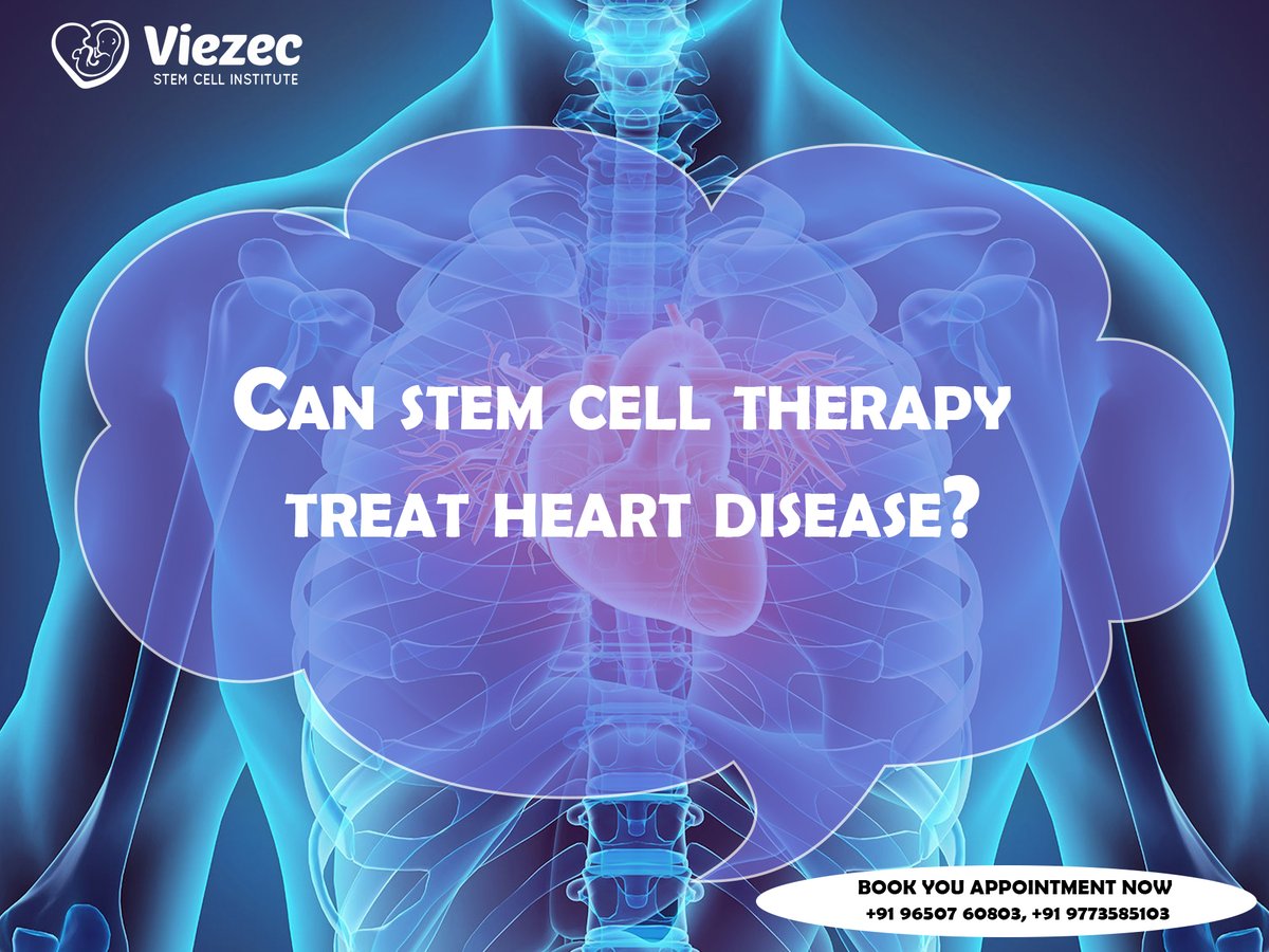 viezec's tweet photo. Can Stem Cell Therapy Treat #HeartDisease?
To know more about Heart Disease visit https://t.co/HaAtducjld
#organspecific #heartdiseaseawareness #heart #stemcellcure https://t.co/ZeTshdKxyQ