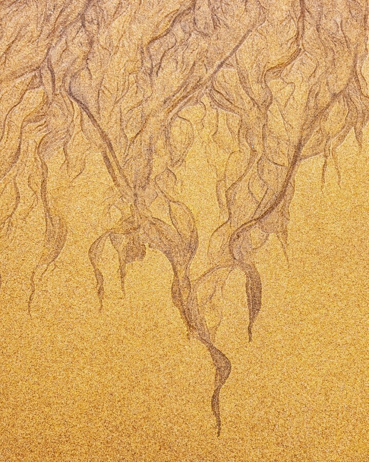 jean_seddon's tweet image. Sand patterns #sand #sandpattern #beach #pattern #abstract #beachabstract instagr.am/p/CQ3C9ADDwmS/