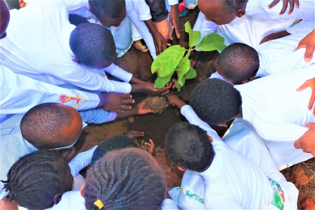 TimKipchumba's tweet image. Asking for ONE DOLLAR HELP from friends here. 

Purpose:

To help the girls at Dorothea Rescue Centre girls and those who take care of them. 

ONLY $1 (Kes 100) cash contribution ( send directly to them). 

Copy the MPesa Message &amp;amp; Quote this message to help share to others.