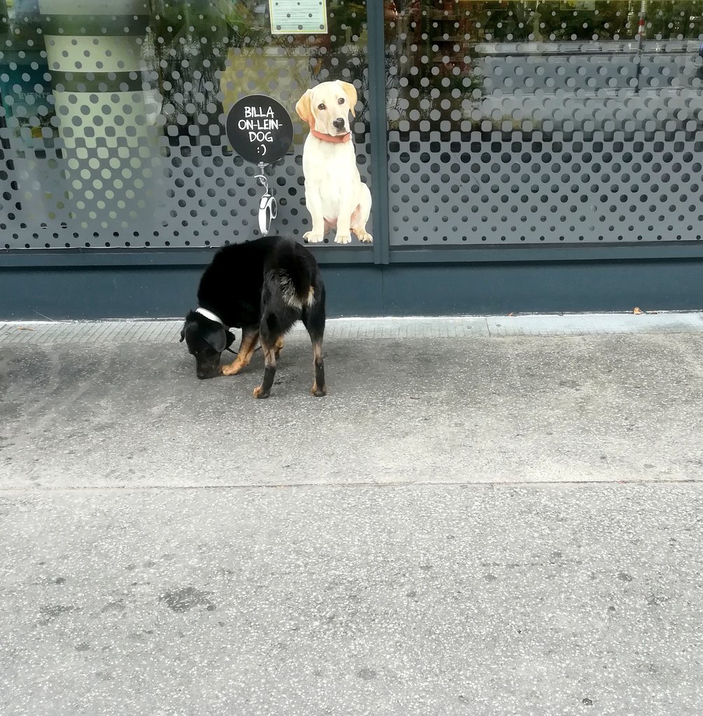 cracketus's tweet photo. Polymorphism in action. Pointer to the base class https://t.co/IWL7kqMKw8