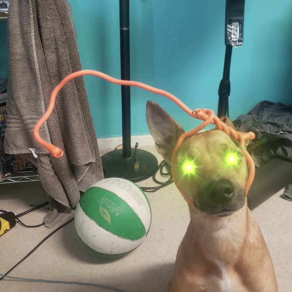 22Pinoy's tweet image. Winning this weekend!!!