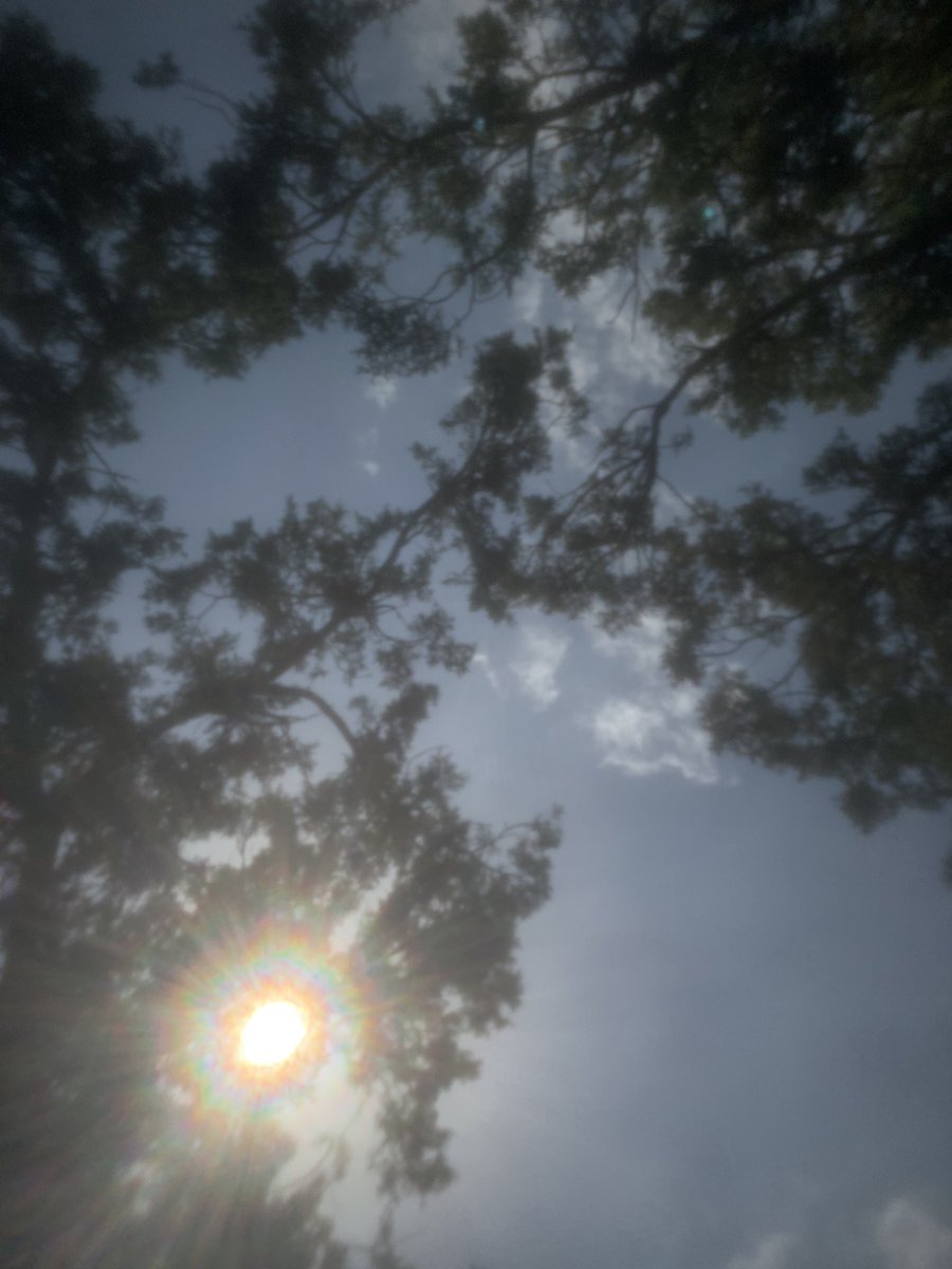 univbae's tweet photo. — إنها الرقّة بالتحديد التي تجعل القلب بستان 🦋☁️♥️.
#abha #sawda https://t.co/4TmGLVJLkk