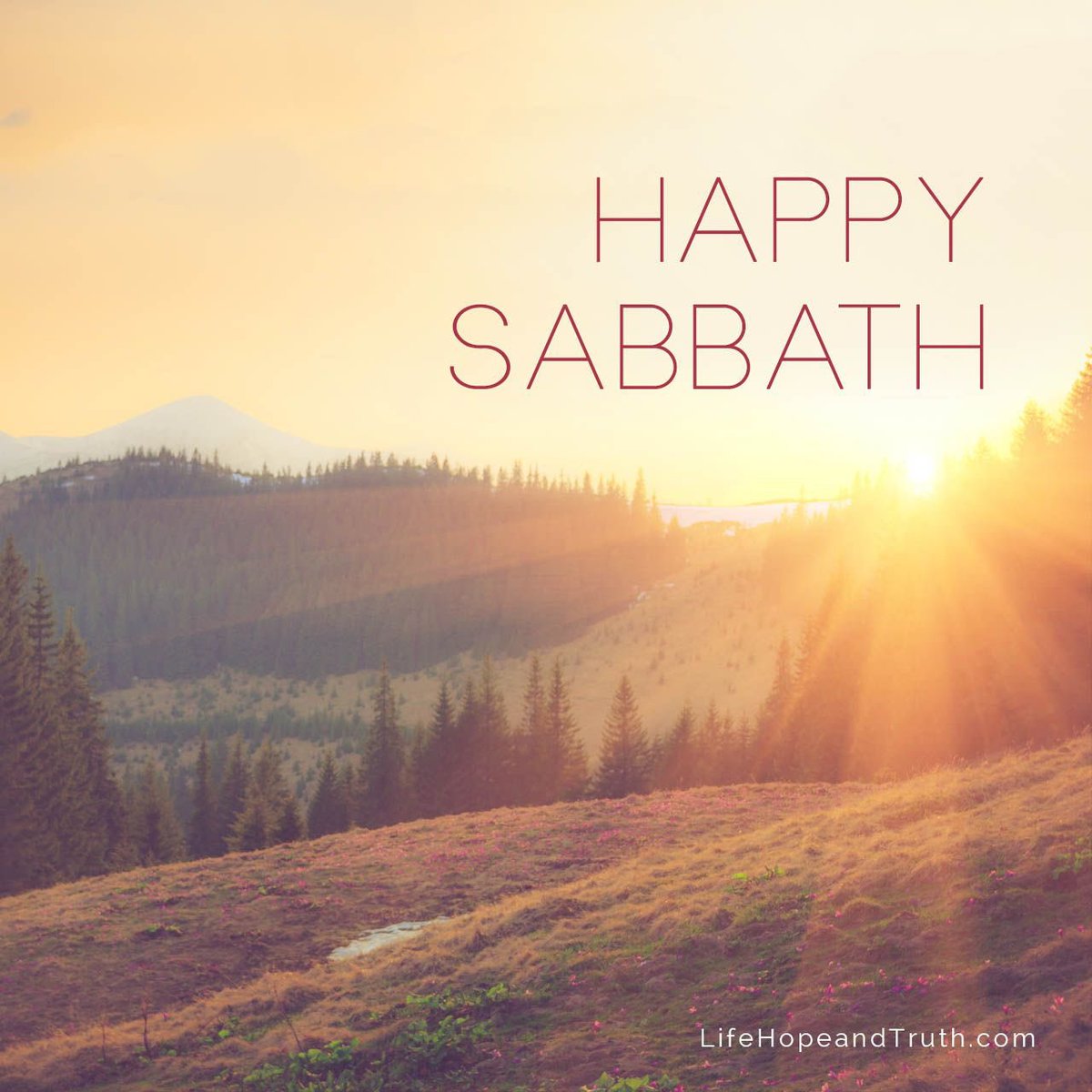 queenkiah's tweet photo. Happy Sabbath day‼️ Visit https://t.co/a3pPLExkWJ #happysabbath -#sabbathkeeper #commandmentkeeper https://t.co/oavjg7T8U6