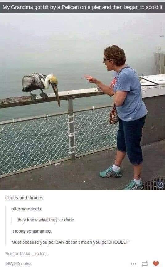 WholesomeMeme's tweet photo. https://t.co/6weIlFGOx5