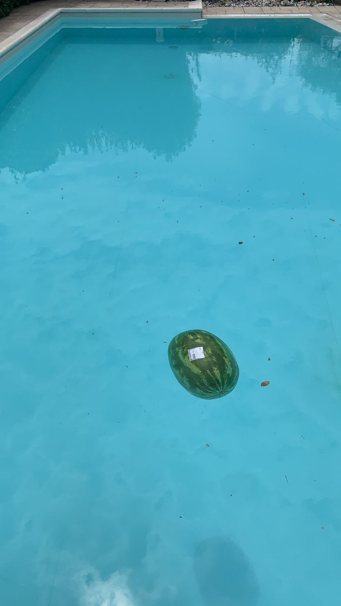 milfhunter994's tweet photo. L'anguria è già in piscina https://t.co/rV7ti1LEff