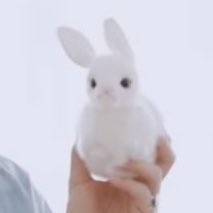 *나나 tweet media
