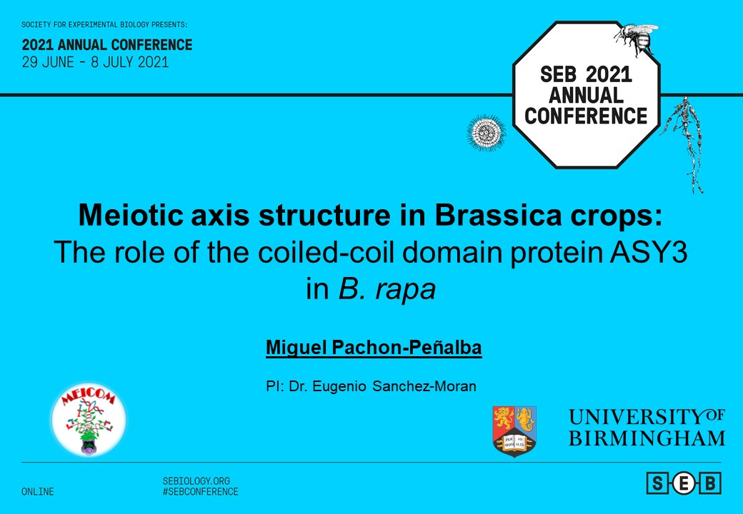 Hey #SEBconference attendees. If you're interested in #meiosis and chromosome structure, don't miss my talk next Tuesday at 15:30 BST. #plantsci #meiosis4eva