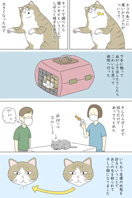 日記 