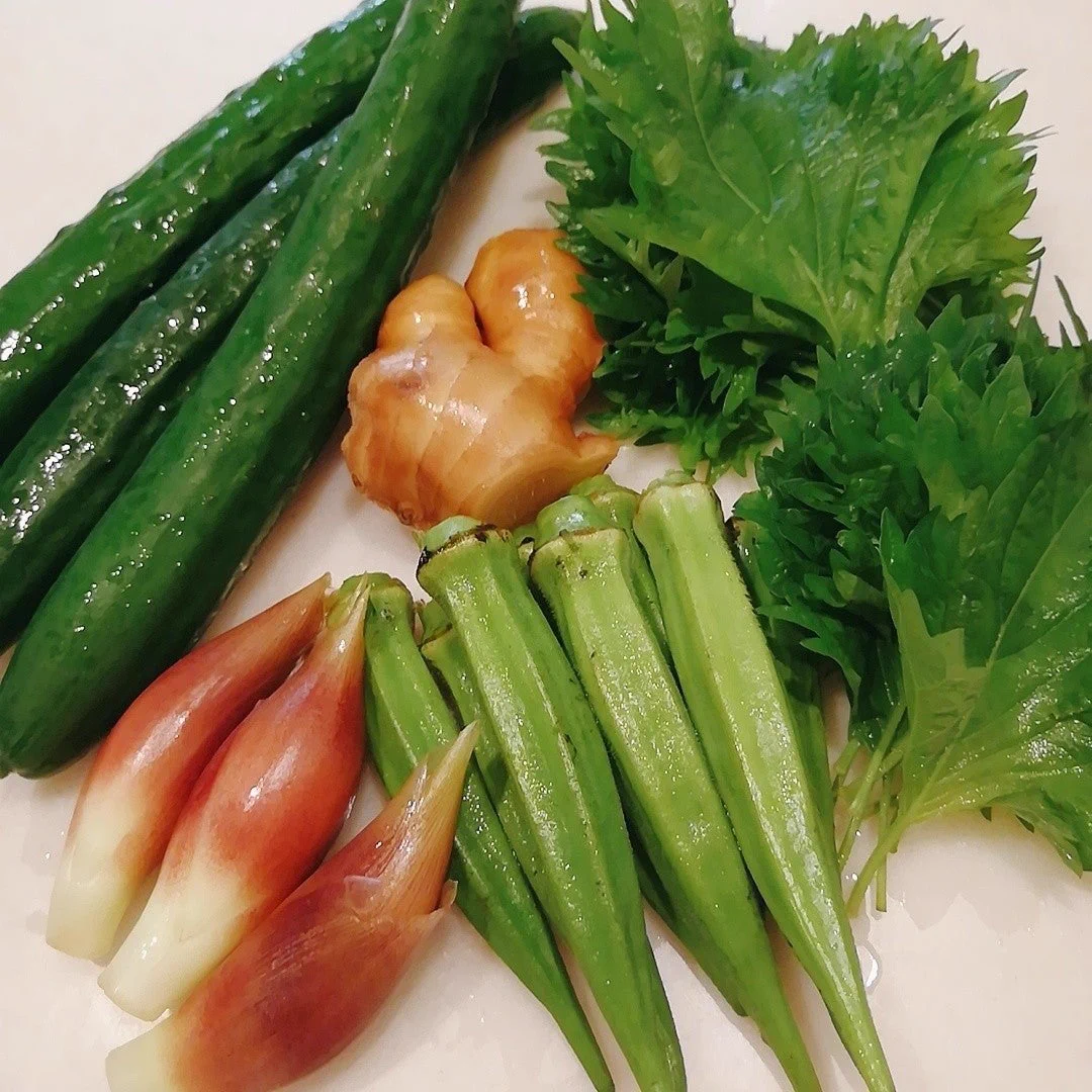 止まらないおいしさ！栄養たっぷり夏野菜の「だし」レシピ！