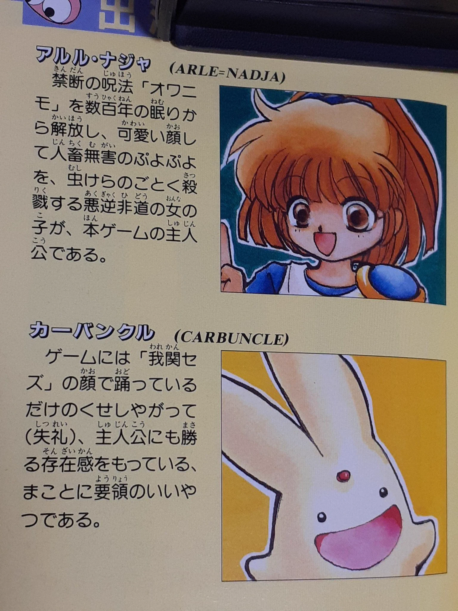 内容がもうめちゃくちゃ？メガドライブ版ぷよぷよの取説www