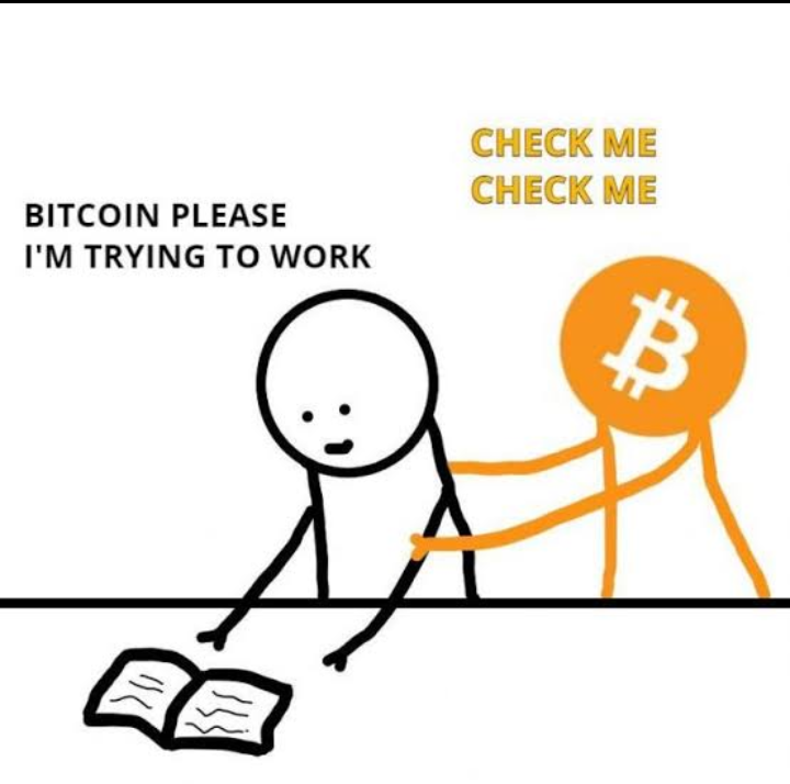 QuintenFrancois's tweet photo. Investing in crypto and #Bitcoin be like: https://t.co/zIlUXj4bVs