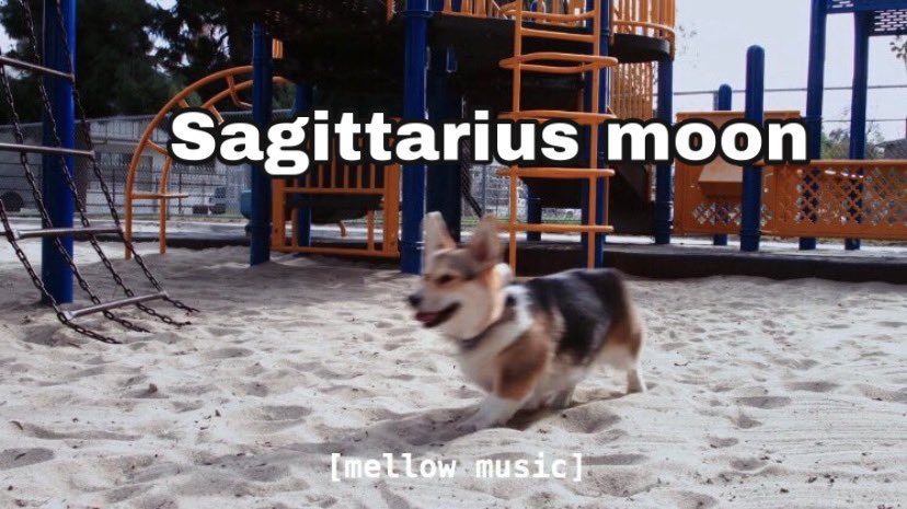 msromanticisme's tweet photo. ITS MY ICON HAHAHAHA this is most accurate for sure https://t.co/6yVsHmPjwJ
