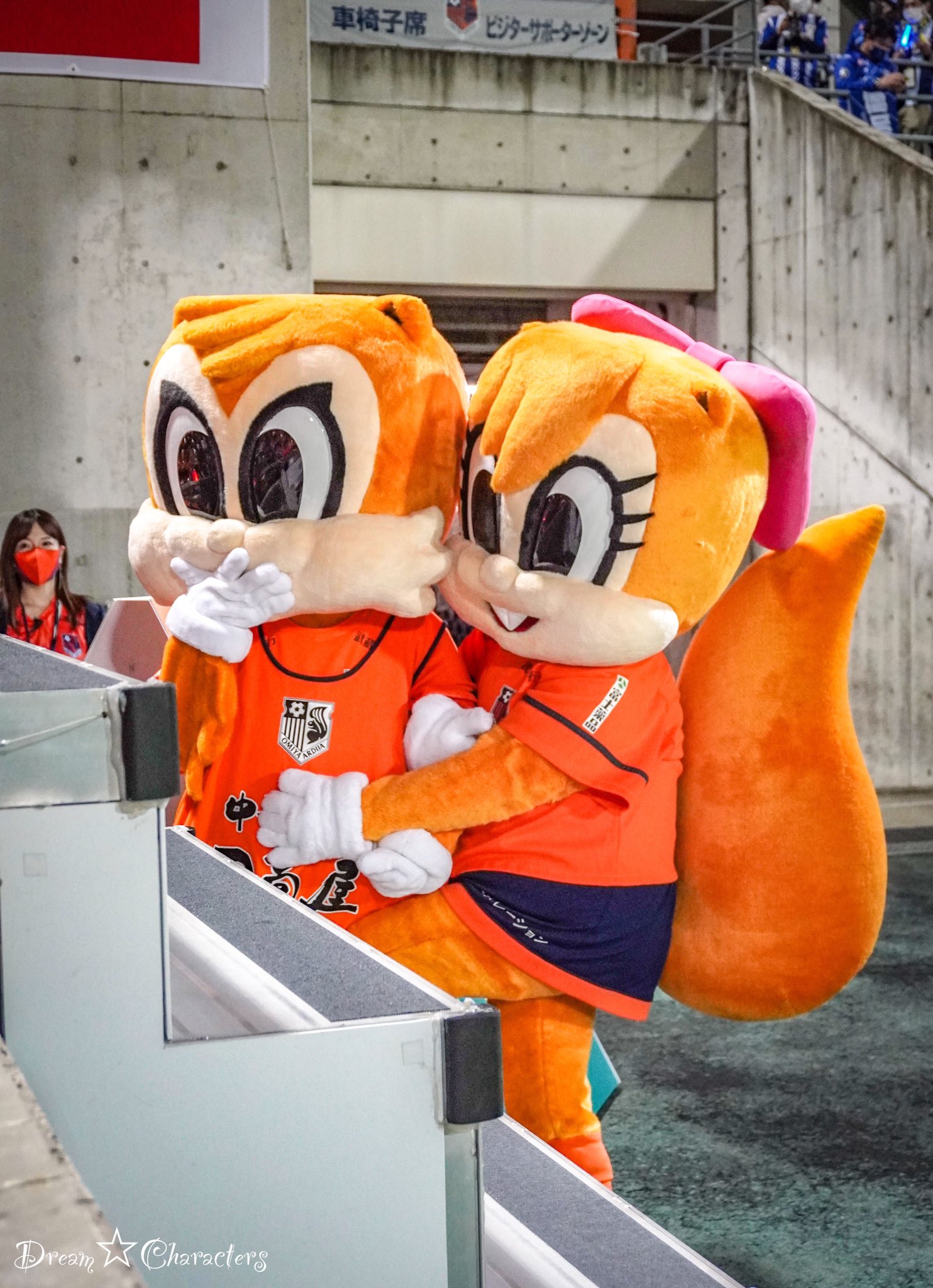 Dream Characters ハーフタイム終わる頃になるといつもミーヤちゃんがアルディにすり寄っていくので栗鼠の夜の習性なのかなあと思って見てます Ardija 大宮アルディージャ アルディ ミーヤ T Co T2dygslzsr Twitter