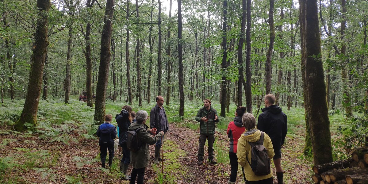 Les balades sylvicoles ont commencé à Grand'Landes en #vendee #nuitsdesforets