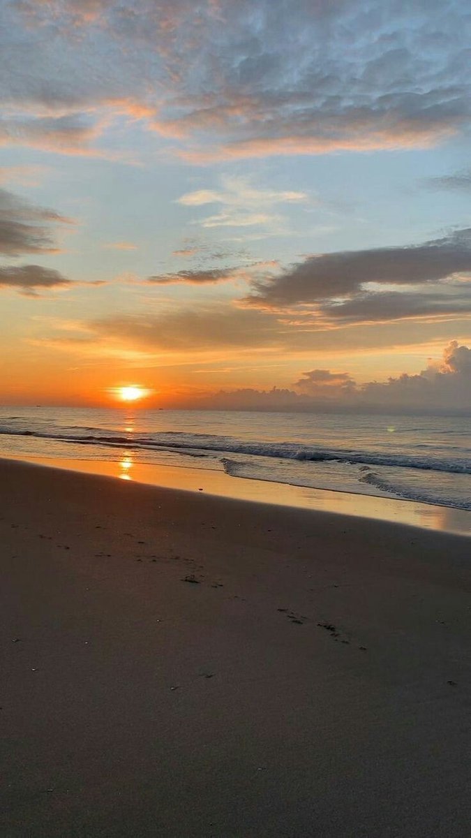 roteberry's tweet image. 44. 📸🤙🏻