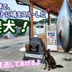 ツイートに含まれる画像