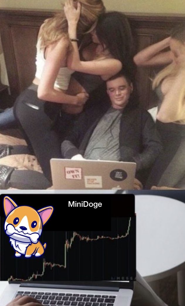 CryptoBlondie's tweet photo. @elonmusk Doge family expanding ! Say hello to #MiniDoge 👋🏼 https://t.co/xh7VGhaSqy