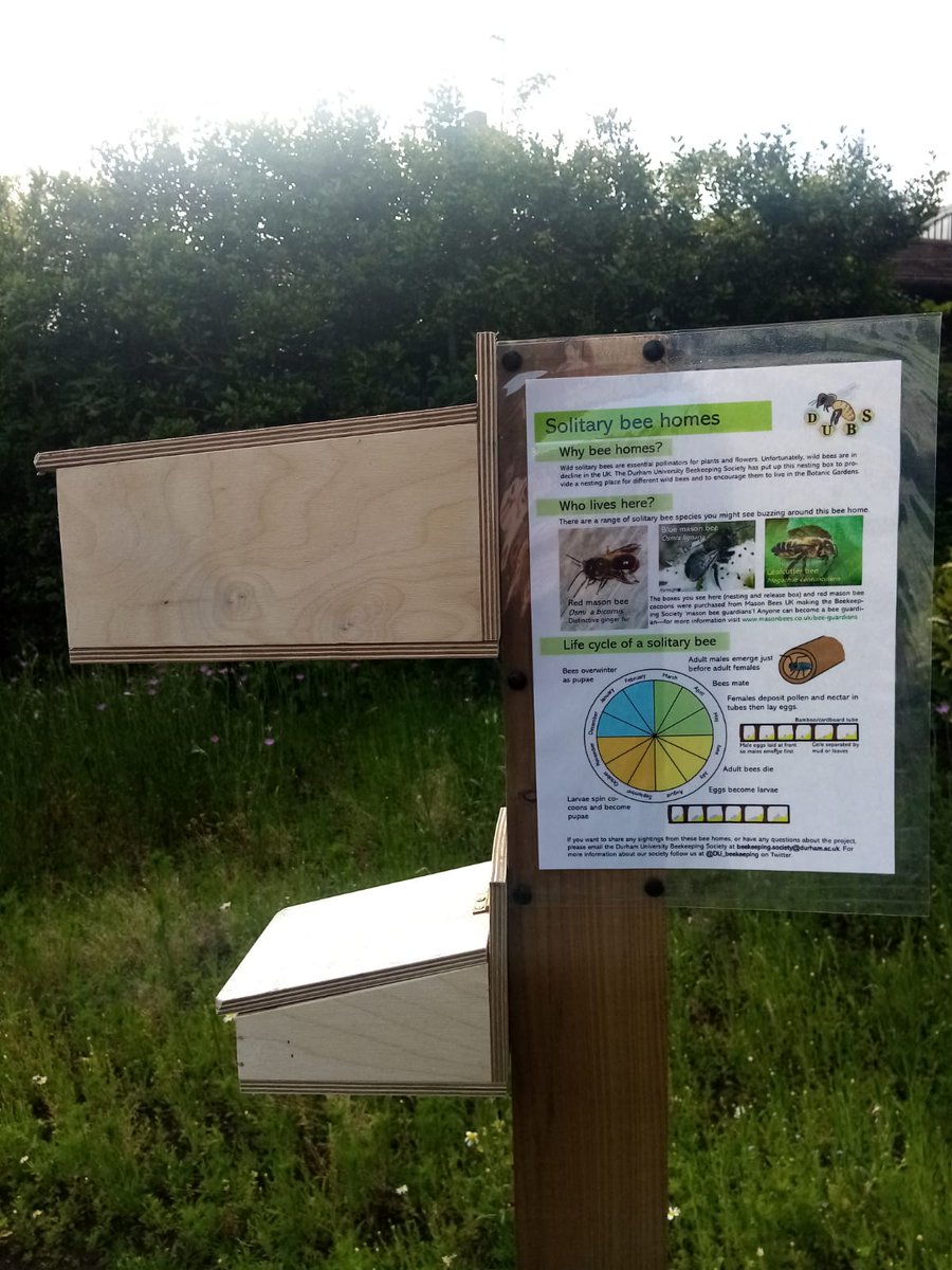 Durham University Beekeeping Society tweet media