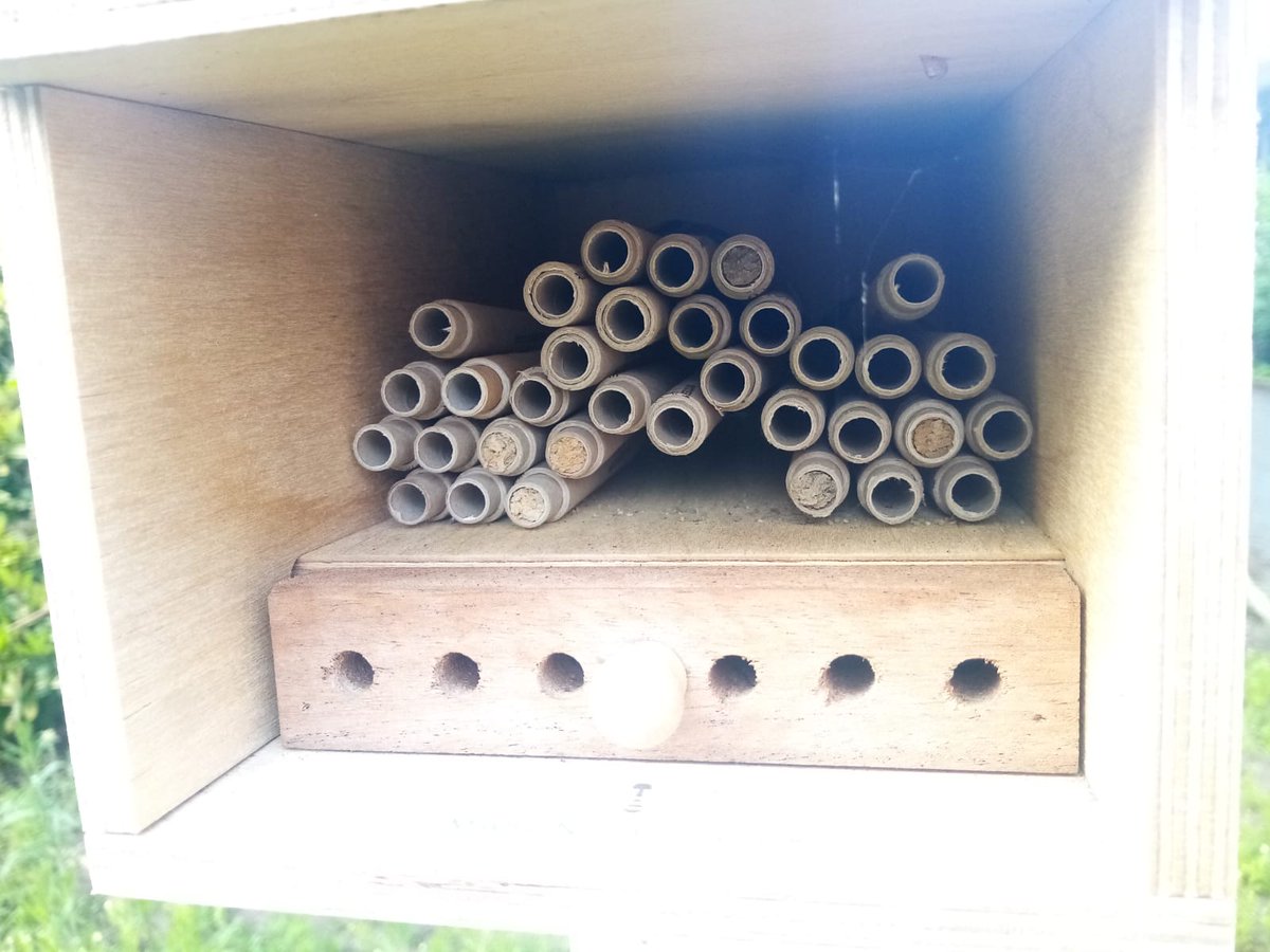 Durham University Beekeeping Society tweet media