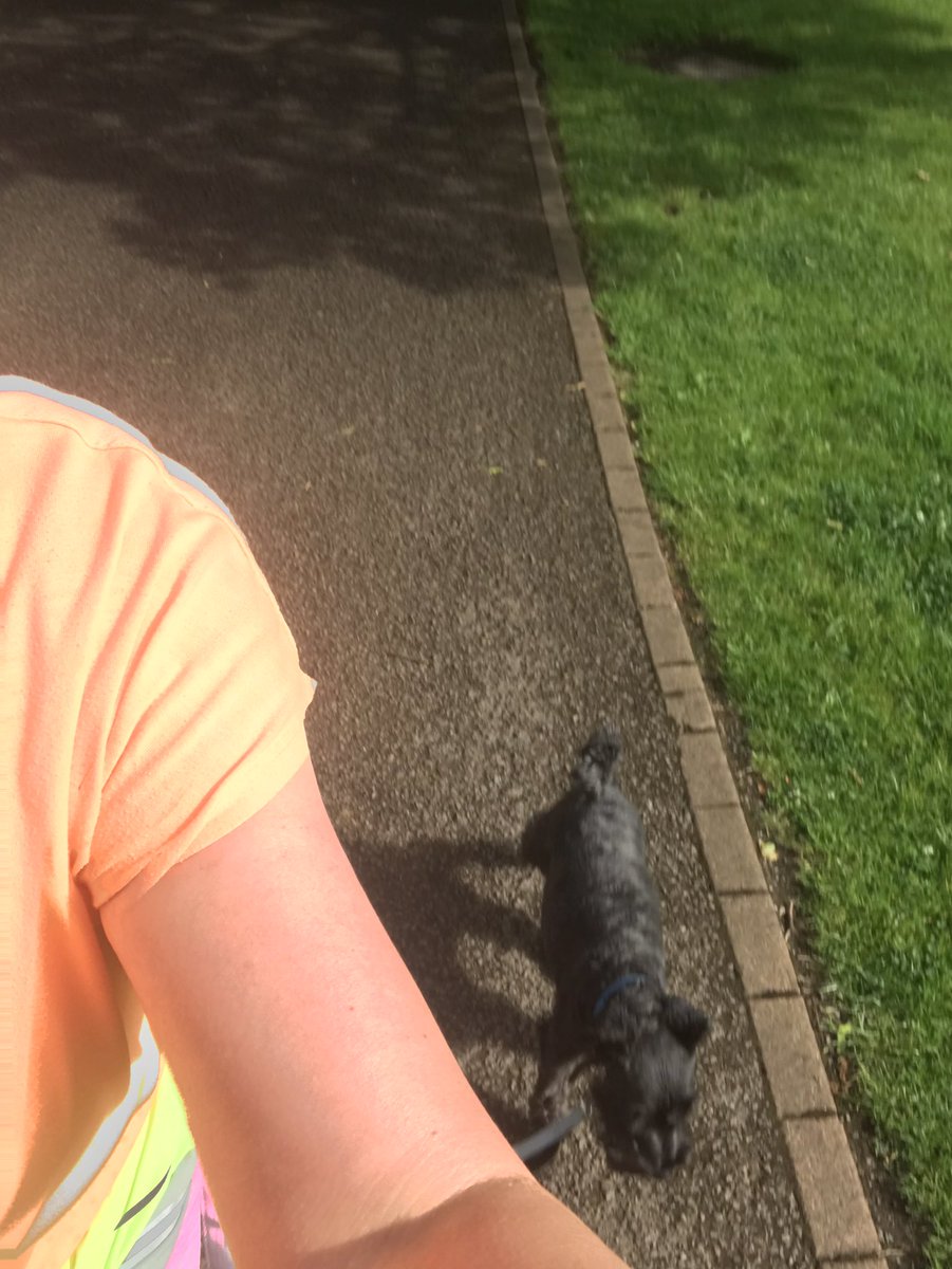 LouiseTalks's tweet photo. Had my little mascot with me too - keep up Basil #TeamBenchWatch @sherunscardiff #SummerRelay https://t.co/vcqzAW6Yu0