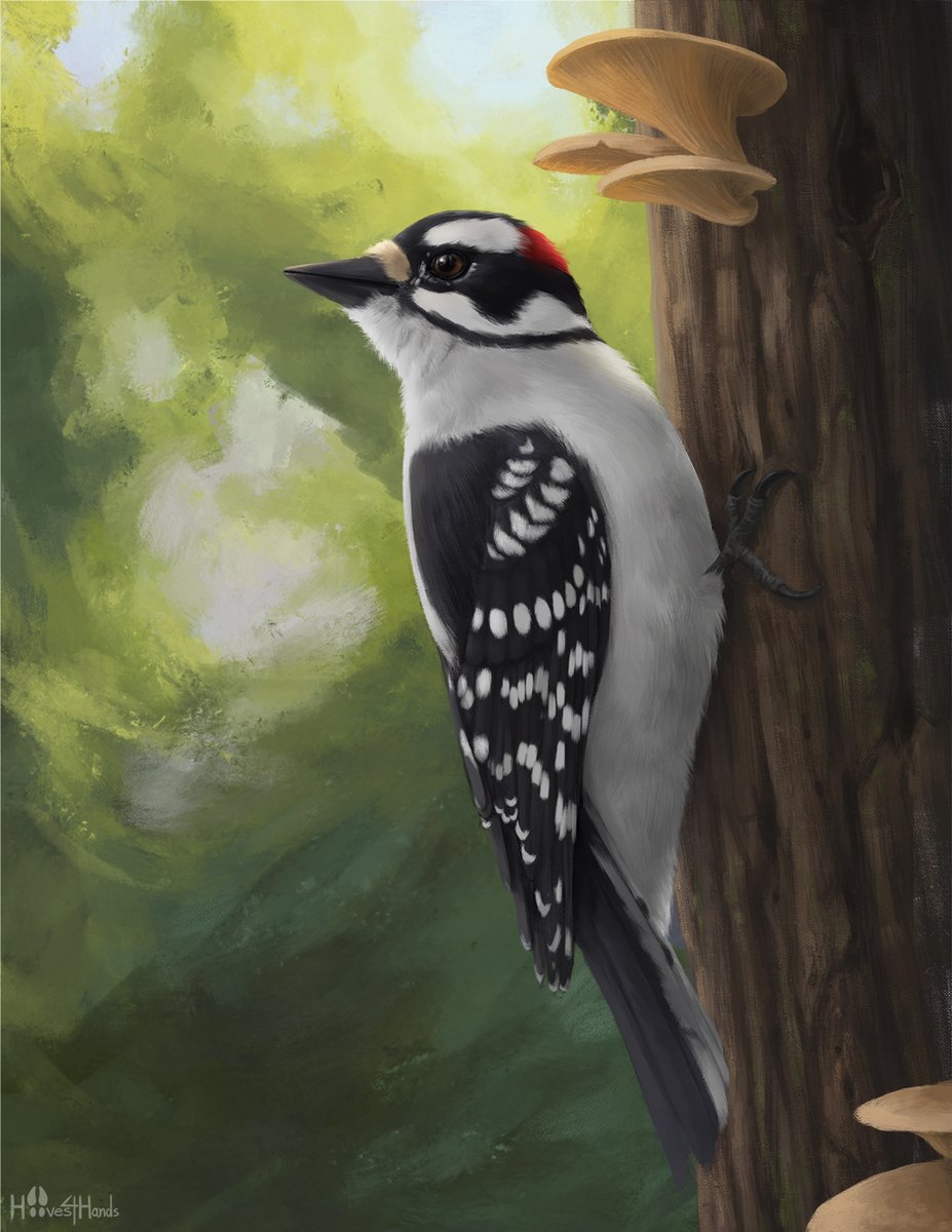 A common sight in my yard. Was nice painting this fella for my mother.