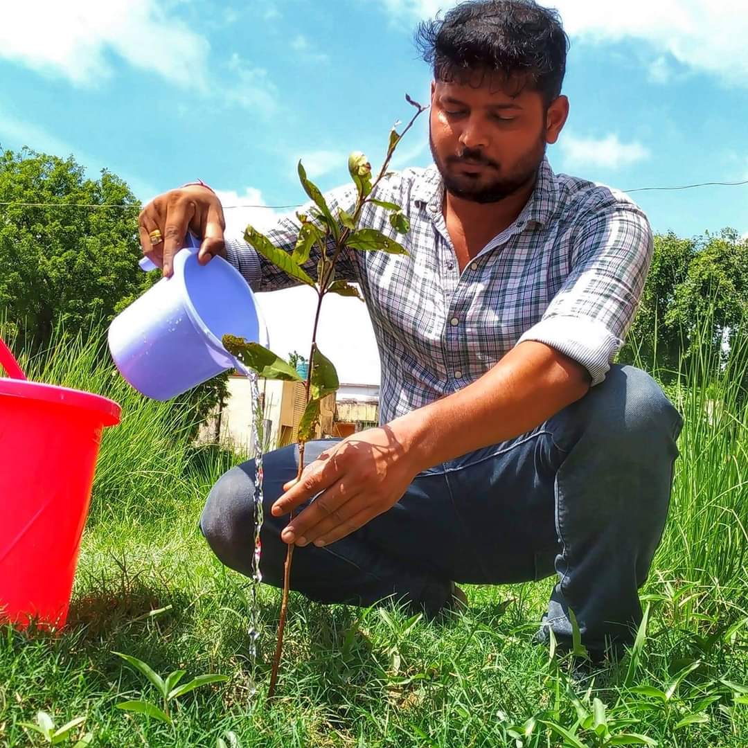 SudheerPhDJNU's tweet photo. #NewProfilePic #ArjunTree https://t.co/nk9cCydPKY
