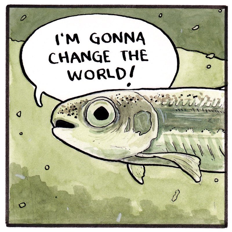 🌍 🐟 