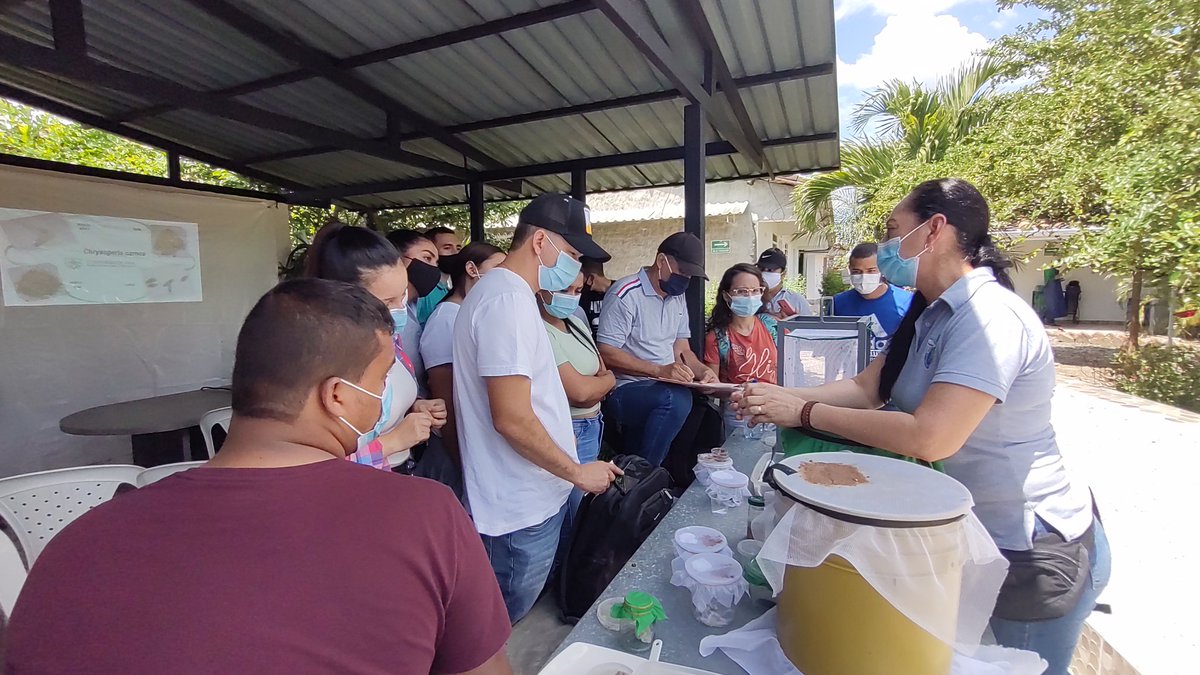AmaCorporacion's tweet photo. Con mucha alegría Recibimos la visita de estudiantes del #intep  terminando su tecnología Ambiental y agropecuaria aportando  transferencia de información, conociendo, construyendo país https://t.co/CfIME0gSWp