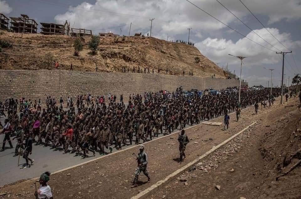 Justice101her's tweet photo. ይሄን ሁሉ የሚያህል ሰራዊት መማረክ ከቻሉ መሪዎቻቸው ለምን ነበር ከገላ ገደል በሕይወት + አጥንታቸው ተለቅሞ የወጡት?! 🤔

:asking for myself https://t.co/tAwsujUSjC