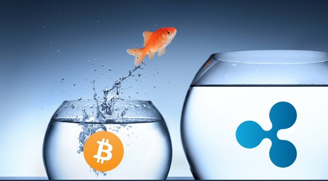 MackAttackXRP's tweet image. FLIP IT