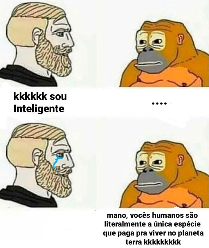 FilosofiaMderna's tweet image. Quem é mais inteligente agora