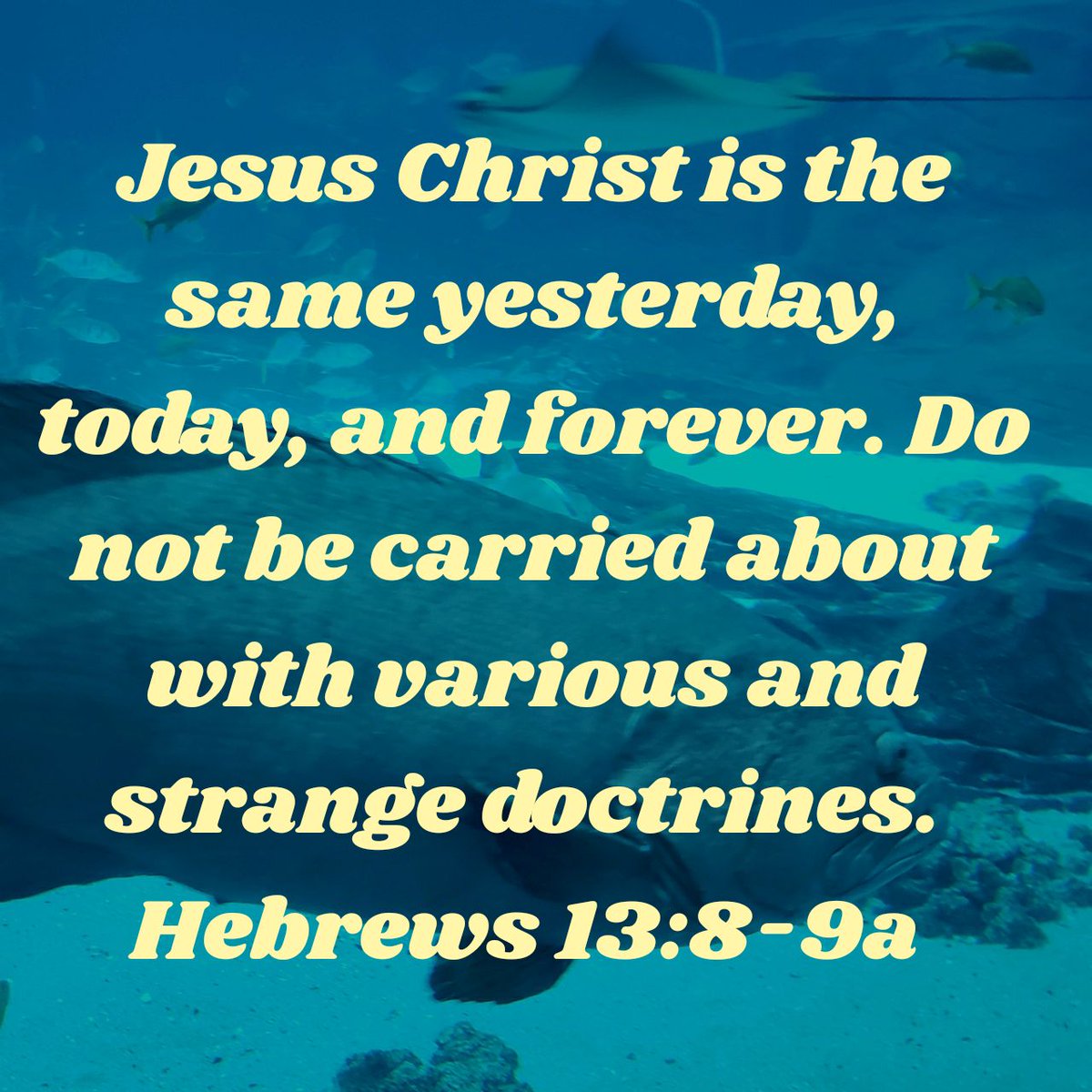 MikeAlbright8's tweet photo. Jesus Christ is the same yesterday, today, and forever. Do not be carried about with various and strange doctrines.
Hebrews 13:8-9a NKJV #Bible #Truth #Jesus #SaturdayMotivation https://t.co/L8BDJSLO09