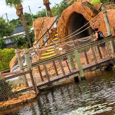 Swamp Cave, Gator Mountain, or Both?

buff.ly/3jra3i7