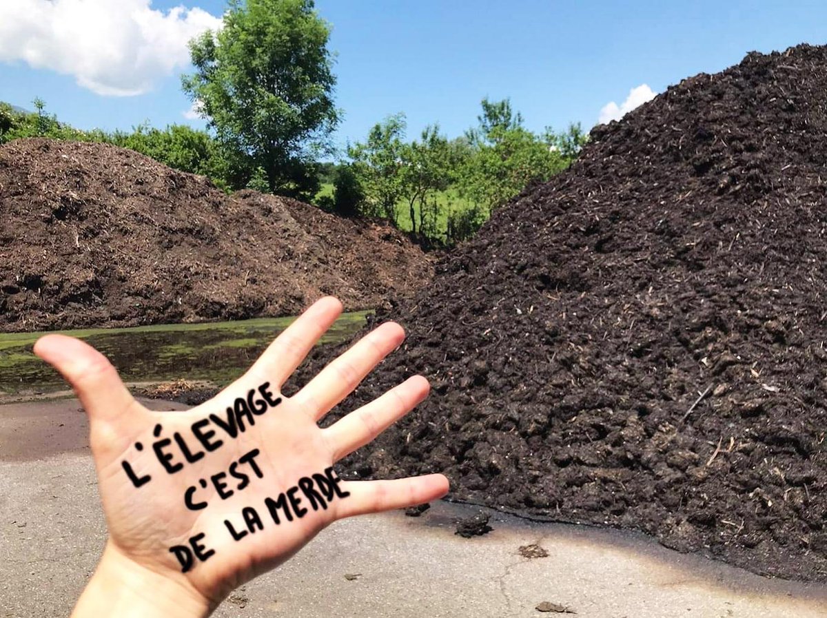 ENDHUSBANDRYNOW's tweet image. L'ÉLEVAGE C'EST DE LA MERDE
#HandsToEndHusbandry #Endhusbandry #Écocide
Oppose YOUR hand for billions of paws NOW! Go, Go, Go!
You will find full user manual in your language : boucherie-abolition.com/2021/03/10/man…

Add your contribution to the map : umap.openstreetmap.fr/fr/map/hands-t…