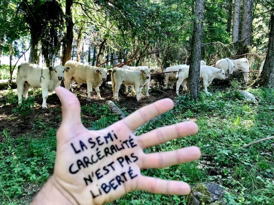ENDHUSBANDRYNOW's tweet image. LA SEMI CARCÉRALITÉ N'EST PAS LIBERTÉ
#HandsToEndHusbandry #Endhusbandry
Oppose YOUR hand for billions of paws NOW! Go, Go, Go!
You will find full user manual in your language : boucherie-abolition.com/2021/03/10/man…

Add your contribution to the map : umap.openstreetmap.fr/fr/map/hands-t…