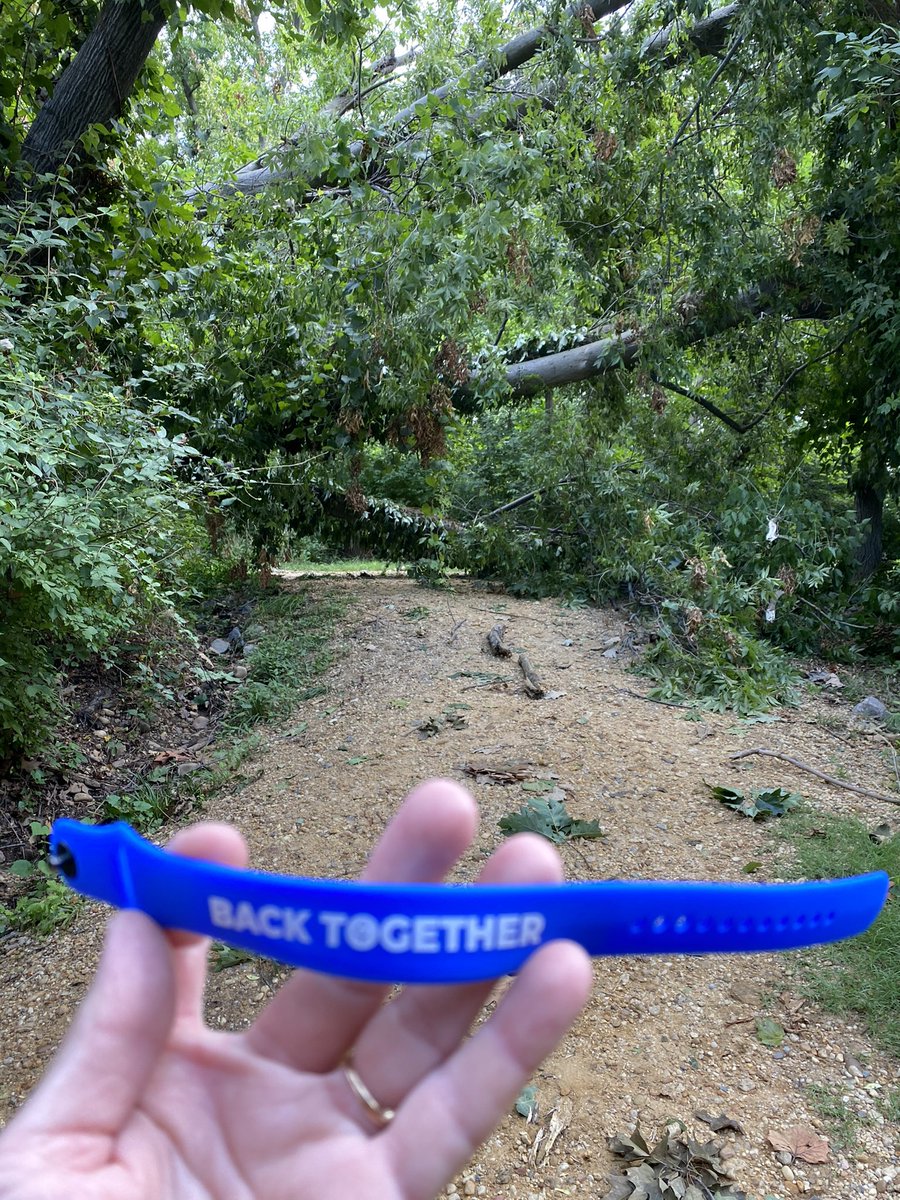Roosevelt Island DC parkrun tweet media