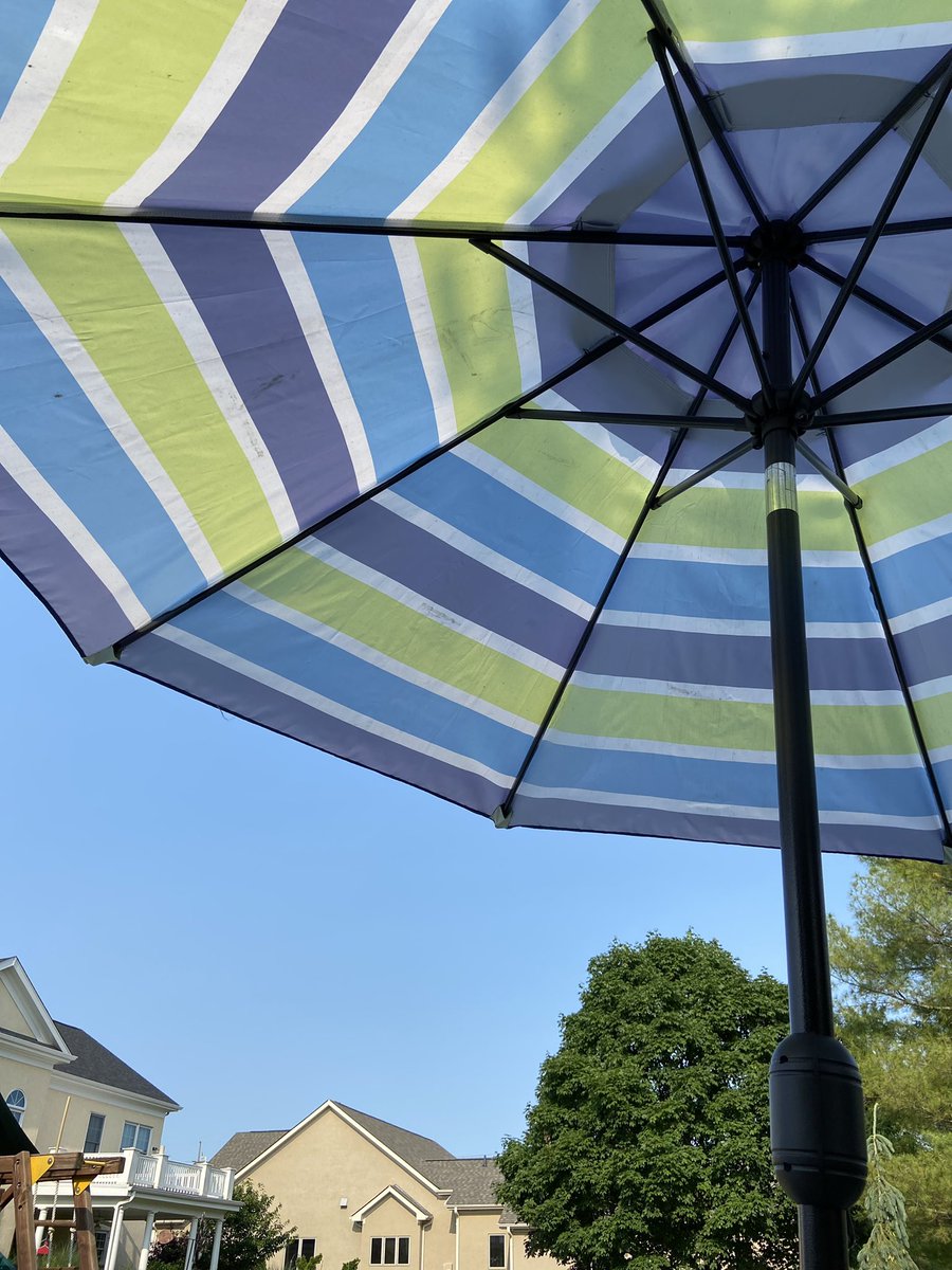 AmyDavison8's tweet image. #SummerTimeVibes ☀️🌊🌺🌴