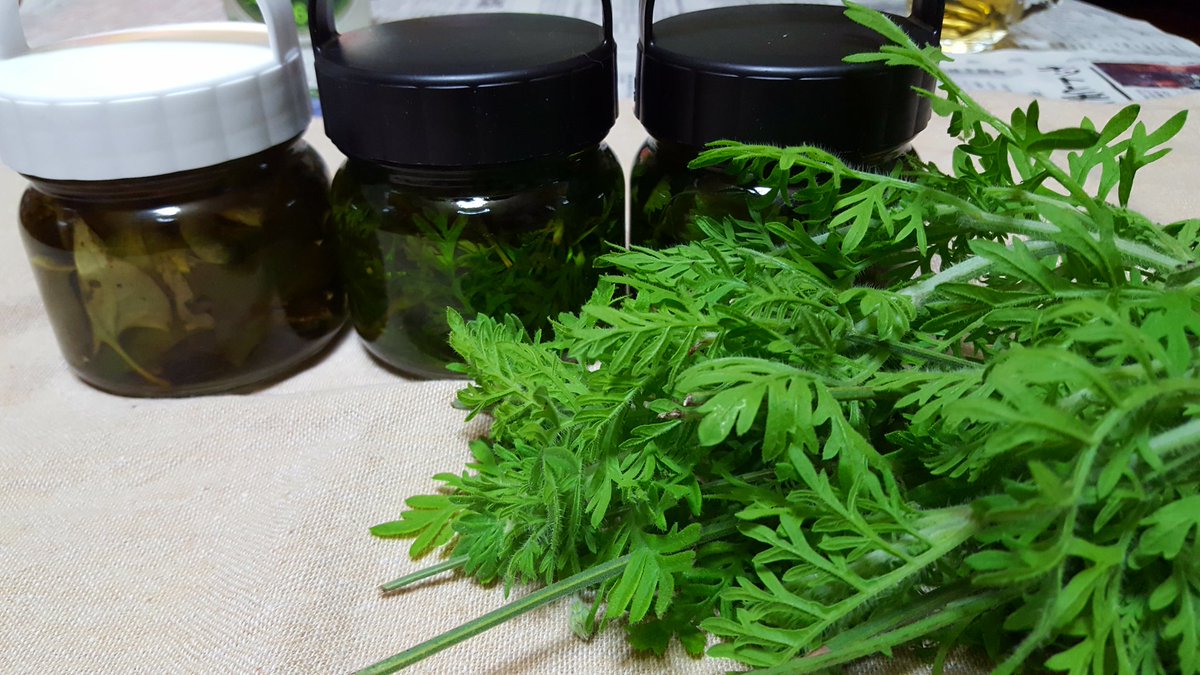 Top Tweets For チンキ Instalker