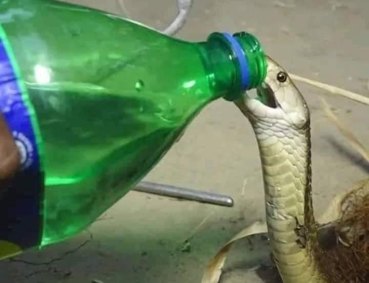 بلي ريقك بس الاول وبعدين احكي كيف ظلموكي