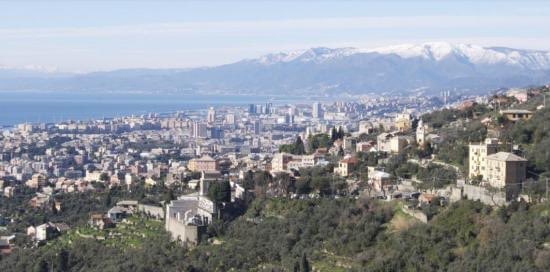 Domenica 4 luglio, dalle ore 10.00: una giornata all’insegna dell’ambiente e della sensibilizzazione delle tematiche green sul #Belvedere del #MonteMoro con esperti e un percorso dedicato. I dettagli ➡ bit.ly/3jFn4o4