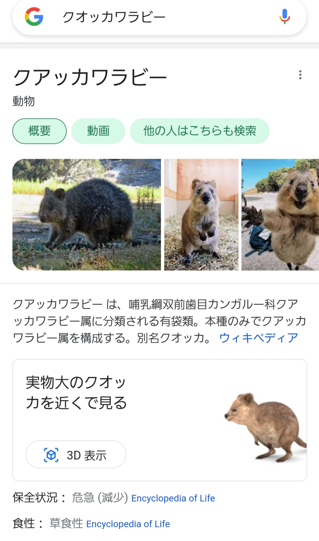 Uzivatel 世経アルバイト Na Twitteru マルコ 嫌いな食べ物 マメ えっ鳥なのに 趣味 バーのコースター収集 おっさんくさい趣味だけど正直楽しそう ローとコレクションの見せ合いっこしてくれ ゴール D ロジャー イメージ動物 クオッカワラビー