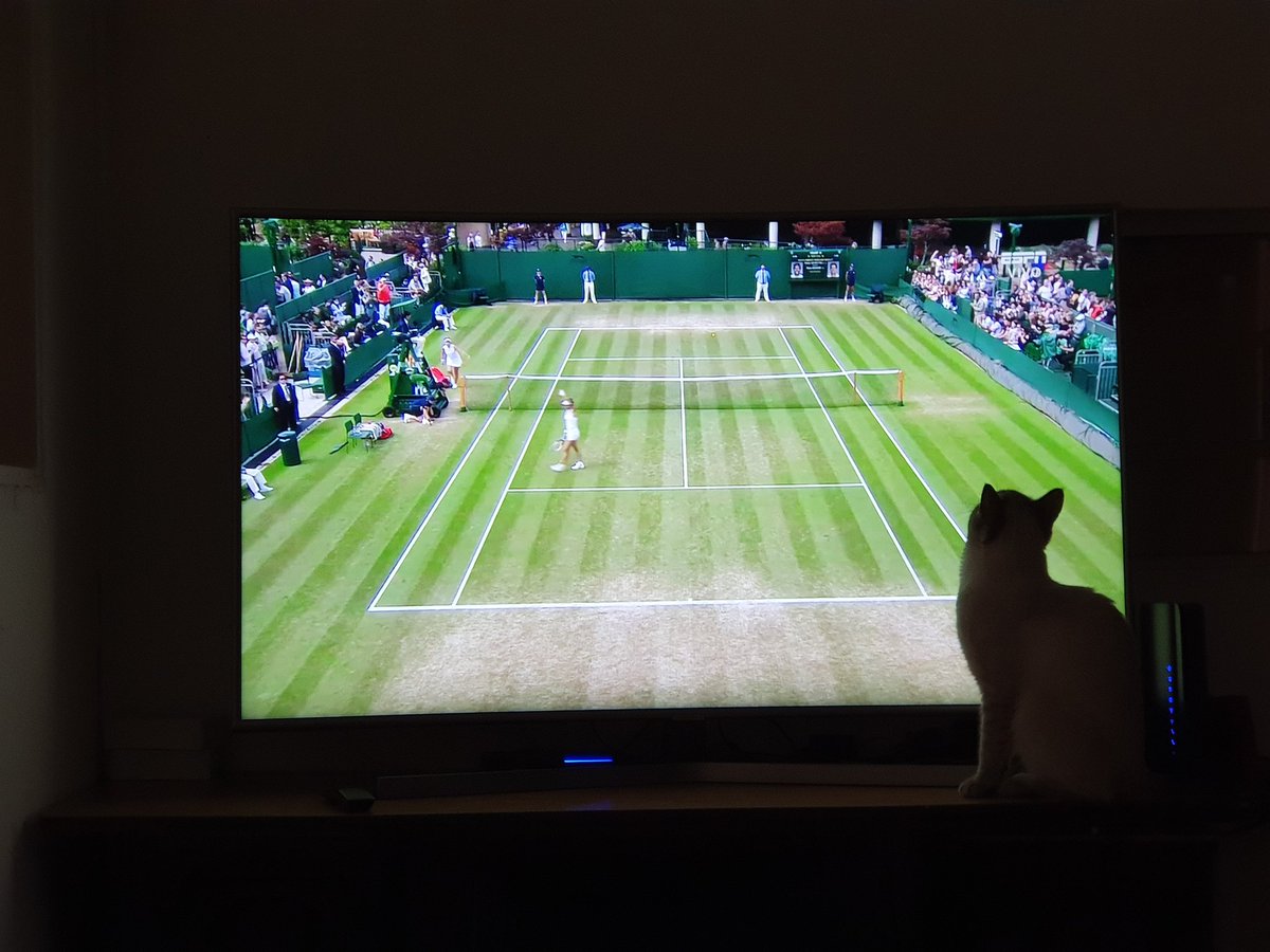 Jonathan_edugm's tweet photo. Luke también disfrutando de #WIMBLEDON #WimbledonPicks https://t.co/soA0iTKNoO
