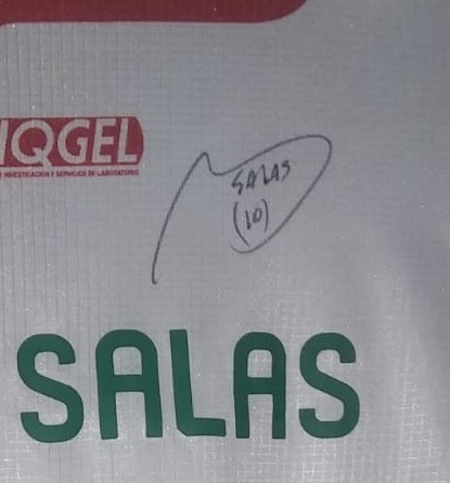 Frato79's tweet photo. Dos más de @ClubNecaxa firmadas por @MaxiSaalas Y el comandante @Mauro09Q https://t.co/gI5t9V9A9y