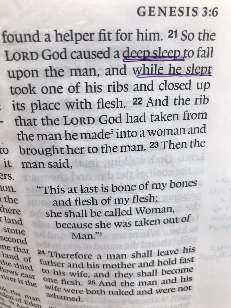 smurrell's tweet photo. Genesis 2:21

God can do more while we sleep than we can while awake, so trust Him and sleep well. 

#theartofrest #sabbathrest #deepsleep https://t.co/0eMP4dSLbq