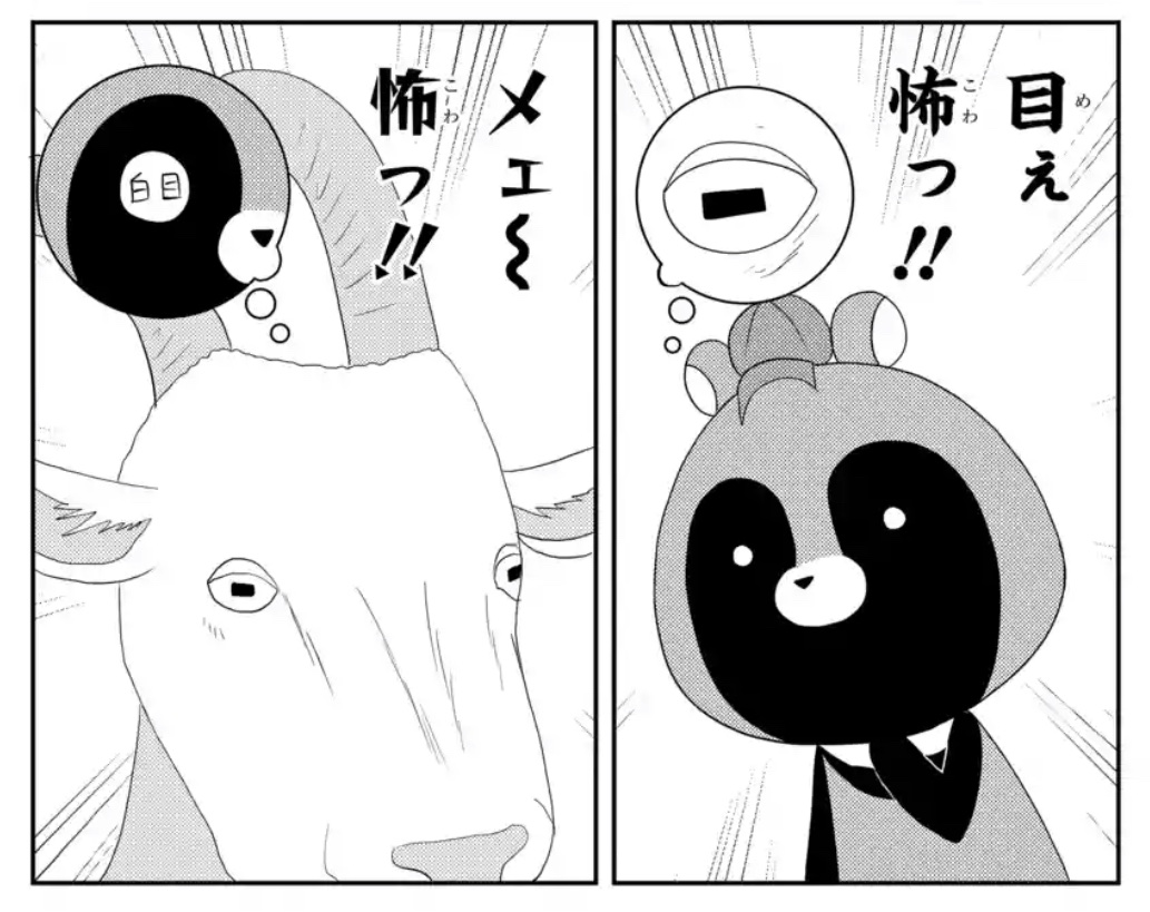 🐯#マンガPark 本日更新🐼
#可愛いたぬきも楽じゃない
by #河口けい
なんかプチバズしてる
白泉社 社長からウサ村🐰に
ヤギ🐐関連のメールが来た事で
できた動物園編が更新です🦫
「猫で言うところの」…?🤔
先読みは、涙なしでは読めない
さよなら編集長編😭😭😭
▼
https://t.co/ED8lLlMjk2