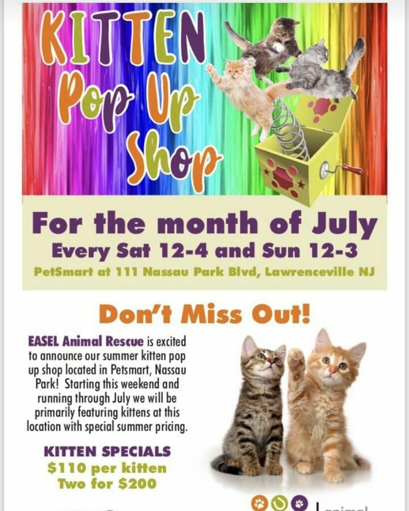 Princeton Scoop (@princetonscoop) on Twitter photo It’s the purrfect time to add a friend to your family!  Consider adopting a kitty!!!
#adoptdontshop #kittenpopup #princetonnj #pets #kittens instagr.am/p/CQ3jpejDcLv/ It’s the purrfect time to add a friend to your family!  Consider adopting a kitty!!!
#adoptdontshop #kittenpopup #princetonnj #pets #kittens instagr.am/p/CQ3jpejDcLv/
